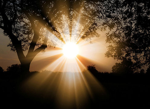 Psychotherapuetic Understanding - image of sunlight